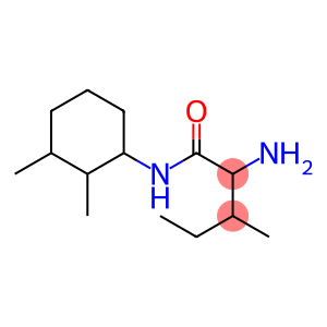 2-amino-N-(2,3-dimethylcyclohexyl)-3-methylpentanamide