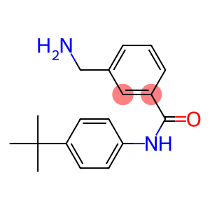 3-(aminomethyl)-N-(4-tert-butylphenyl)benzamide