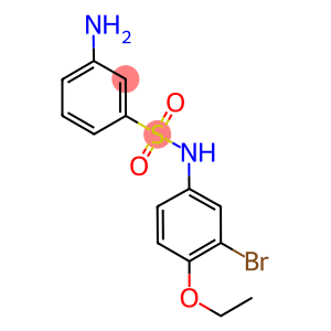 3-AMINO-N-(3-BROMO-4-ETHOXY-PHENYL)-BENZENESULFONAMIDE