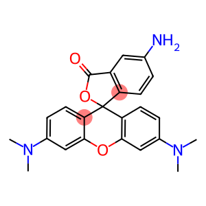 5(6)-AMINOTETRAMETHYLRHODAMINE