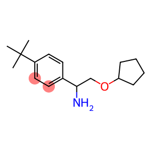 1-[1-amino-2-(cyclopentyloxy)ethyl]-4-tert-butylbenzene