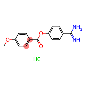 4'-amidinophenyl 4-methoxybenzoate hcl