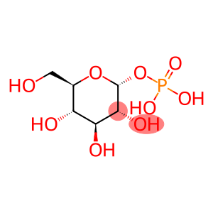 ALPHA-D-GLUCOSE-1-PHOSPHATE