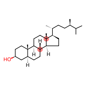 5ALPHA-CHOLESTAN-24ALPHA-METHYL-3BETA-OL