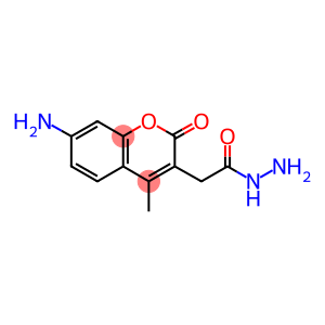 7-AMINO-4-METHYLCOUMARIN-3-ACETYL HYDRAZIDE