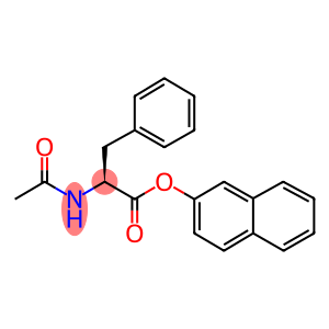 AC-PHE-BETA-NAPHTHYL-ESTER