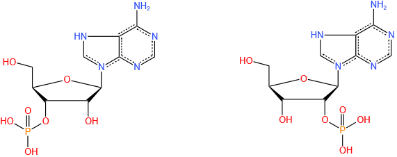 Adenosine Monophosphate (Mixture of 2'(3')-phosphate isoMers)