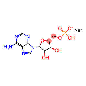 5'-Adensine Monophosphate Monosodium Salt