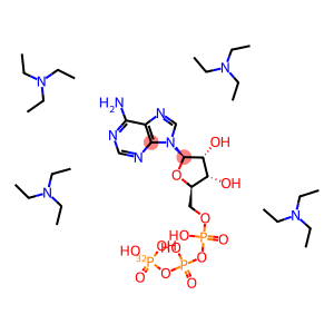 ADENOSINE 5'-TRIPHOSPHATE, [GAMMA-32P] TETRA-TRIETHYLAMMONIUM SALT