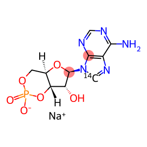 ADENOSINE 3',5'-CYCLIC-PHOSPHATE, [8-14C] MONOSODIUM SALT