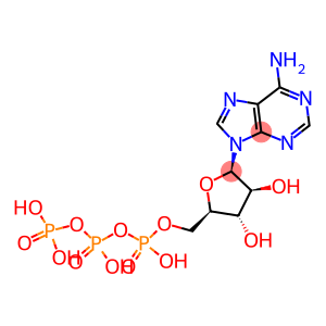 ADENINE-ARABINOFURANOSIDE-5'-TRIPHOSPHATE, SODIUM SALT