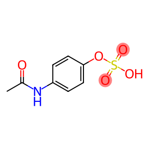 4-acetylaminophenyl sulfate