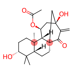 11-ACETOXY-3,13-DIHYDROXY-16-KAUREN-15-ONE