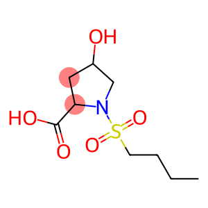 1-(butylsulfonyl)-4-hydroxypyrrolidine-2-carboxylic acid