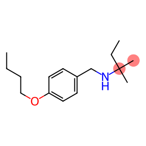 [(4-butoxyphenyl)methyl](2-methylbutan-2-yl)amine