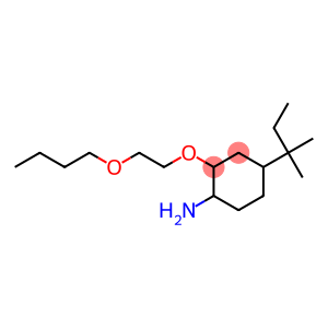 2-(2-butoxyethoxy)-4-(2-methylbutan-2-yl)cyclohexan-1-amine