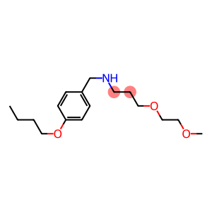 [(4-butoxyphenyl)methyl][3-(2-methoxyethoxy)propyl]amine