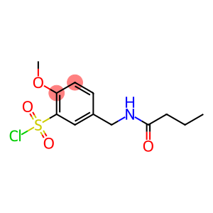 5-(butanamidomethyl)-2-methoxybenzene-1-sulfonyl chloride