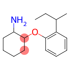 2-[2-(butan-2-yl)phenoxy]cyclohexan-1-amine