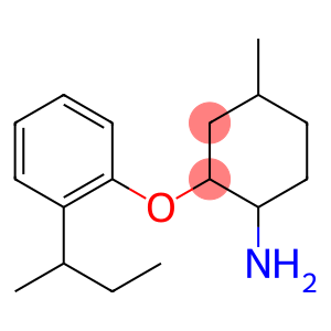 2-[2-(butan-2-yl)phenoxy]-4-methylcyclohexan-1-amine