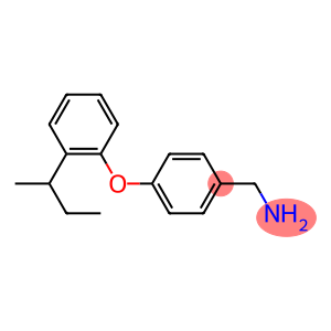 {4-[2-(butan-2-yl)phenoxy]phenyl}methanamine