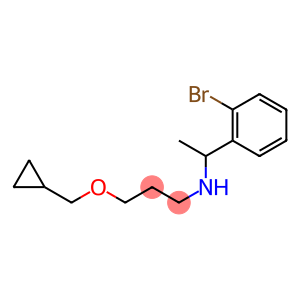 [1-(2-bromophenyl)ethyl][3-(cyclopropylmethoxy)propyl]amine