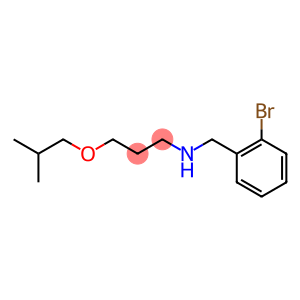 [(2-bromophenyl)methyl][3-(2-methylpropoxy)propyl]amine