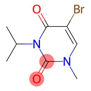 BROMO-ISOPROPYL-METHYLURACIL