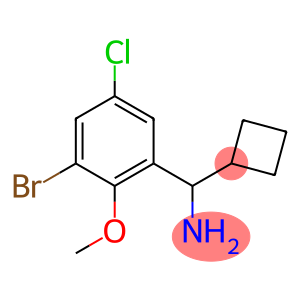 (3-bromo-5-chloro-2-methoxyphenyl)(cyclobutyl)methanamine