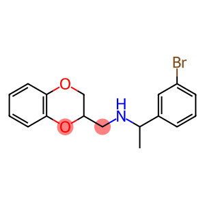 [1-(3-bromophenyl)ethyl](2,3-dihydro-1,4-benzodioxin-2-ylmethyl)amine