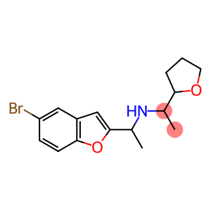 [1-(5-bromo-1-benzofuran-2-yl)ethyl][1-(oxolan-2-yl)ethyl]amine