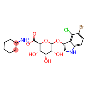 5-溴-4-氯-3-吲哚-~-D-葡(萄)糖苷酸 环己胺 盐