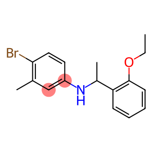 4-bromo-N-[1-(2-ethoxyphenyl)ethyl]-3-methylaniline