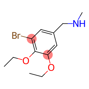 1-(3-BROMO-4,5-DIETHOXYPHENYL)-N-METHYLMETHANAMINE