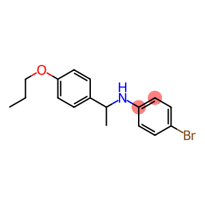 4-bromo-N-[1-(4-propoxyphenyl)ethyl]aniline