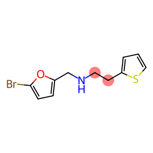 [(5-bromofuran-2-yl)methyl][2-(thiophen-2-yl)ethyl]amine