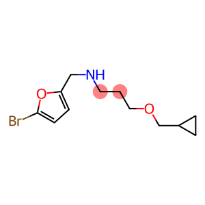 [(5-bromofuran-2-yl)methyl][3-(cyclopropylmethoxy)propyl]amine