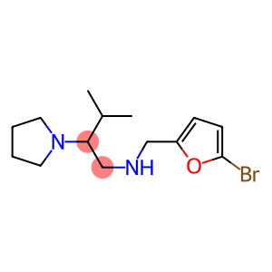 [(5-bromofuran-2-yl)methyl][3-methyl-2-(pyrrolidin-1-yl)butyl]amine