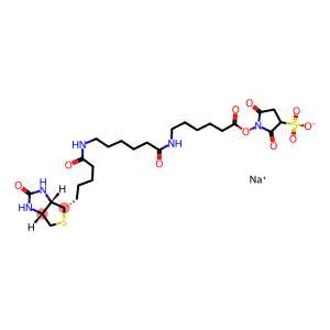 BIOTIN-XX, SSE, SODIUM SALT