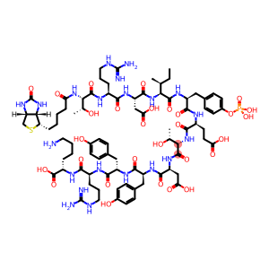 BIOTIN-THR-ARG-ASP-ILE-PTYR-GLU-THR-ASP-TYR-TYR-ARG-LYS-OH