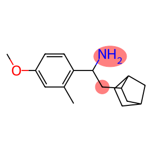 2-{bicyclo[2.2.1]heptan-2-yl}-1-(4-methoxy-2-methylphenyl)ethan-1-amine