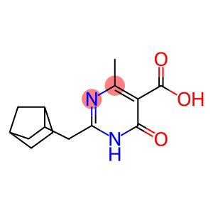 2-(bicyclo[2.2.1]hept-2-ylmethyl)-4-methyl-6-oxo-1,6-dihydropyrimidine-5-carboxylic acid