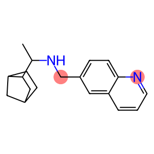 (1-{bicyclo[2.2.1]heptan-2-yl}ethyl)(quinolin-6-ylmethyl)amine