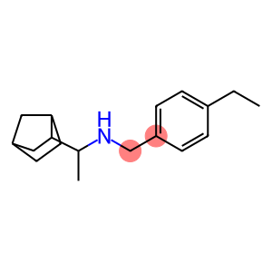 (1-{bicyclo[2.2.1]heptan-2-yl}ethyl)[(4-ethylphenyl)methyl]amine