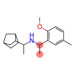 (1-{bicyclo[2.2.1]heptan-2-yl}ethyl)[1-(2-methoxy-5-methylphenyl)ethyl]amine