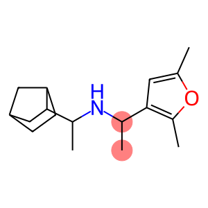 (1-{bicyclo[2.2.1]heptan-2-yl}ethyl)[1-(2,5-dimethylfuran-3-yl)ethyl]amine