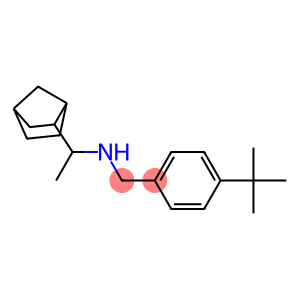 (1-{bicyclo[2.2.1]heptan-2-yl}ethyl)[(4-tert-butylphenyl)methyl]amine