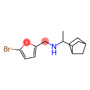 (1-{bicyclo[2.2.1]heptan-2-yl}ethyl)[(5-bromofuran-2-yl)methyl]amine