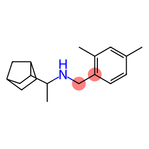 (1-{bicyclo[2.2.1]heptan-2-yl}ethyl)[(2,4-dimethylphenyl)methyl]amine