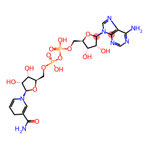 BETA-NADH